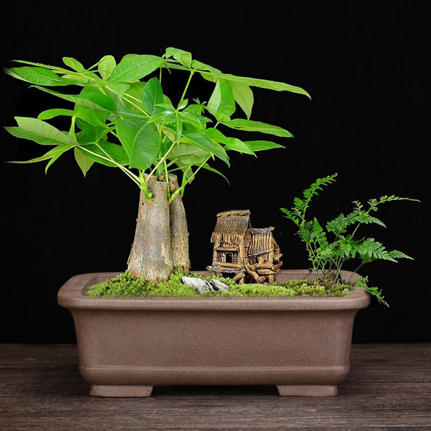 Purple Clay Orchid Pot Household Ceramics