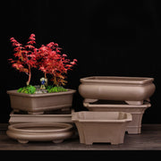 Purple Clay Orchid Pot Household Ceramics